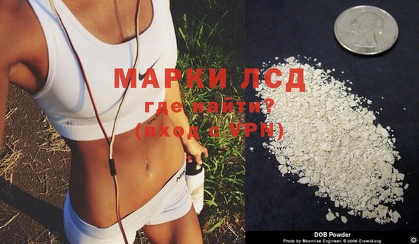 гашик Балахна