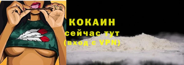 соль курить ск Дмитровск