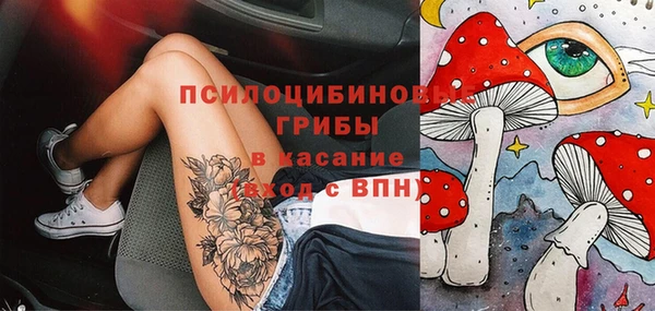 гашик Балабаново