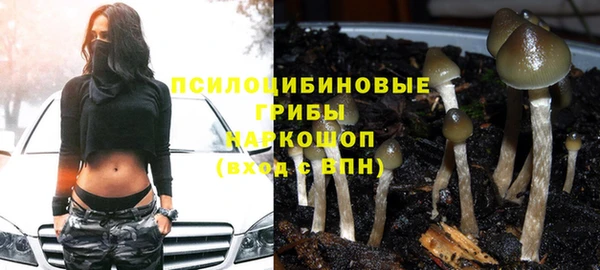 гашик Балабаново