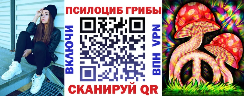Галлюциногенные грибы Psilocybine cubensis Ершов